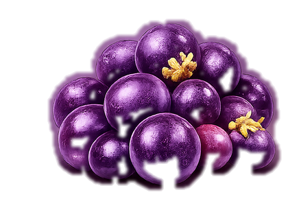 Maqui berry